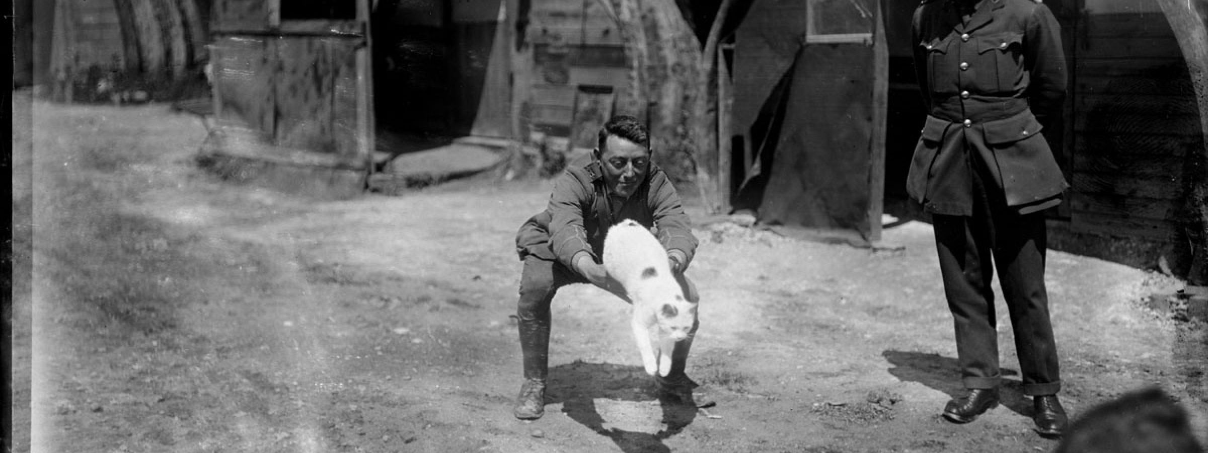 A soldiers playing with Snowy the cat, the New Zealand Tunnellers' mascot, in Dainville, France.
